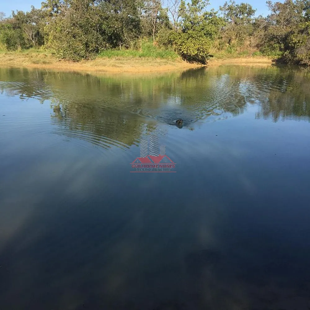 Fazenda, 498 hectares - Foto 6