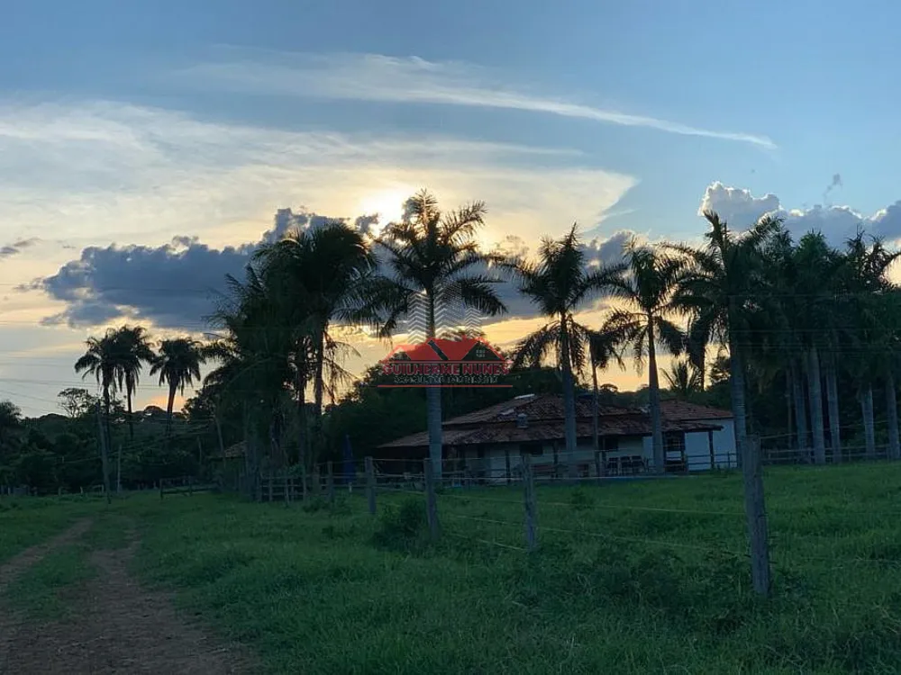 Fazenda, 498 hectares - Foto 4