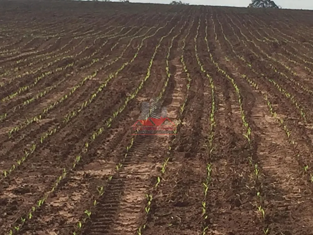 Fazenda, 498 hectares - Foto 9