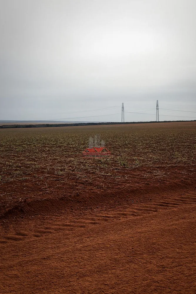 Fazenda, 1000 hectares - Foto 7