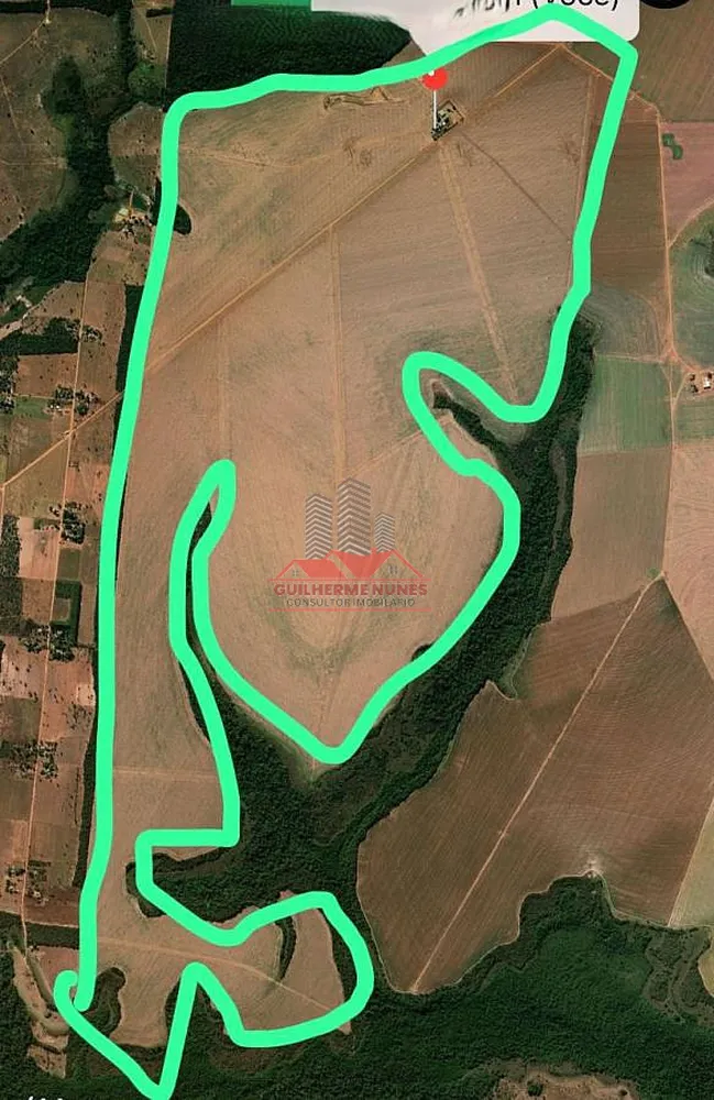 Fazenda, 1000 hectares - Foto 6