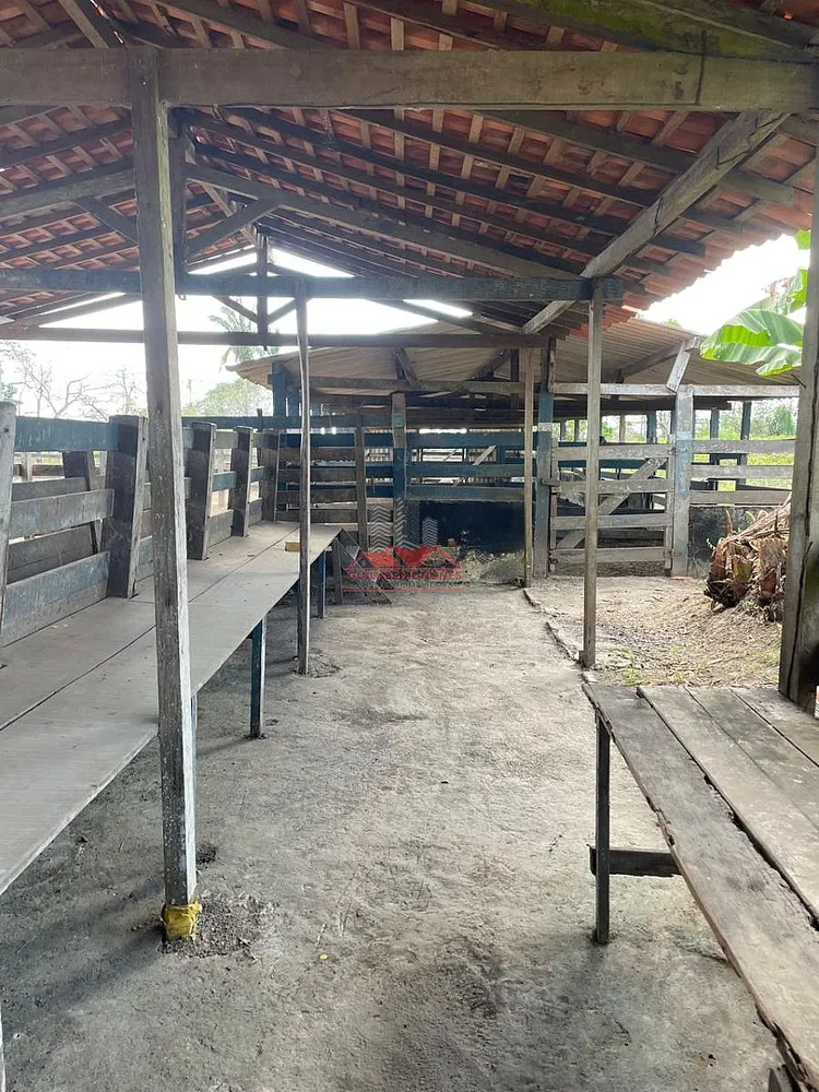 Fazenda, 580 hectares - Foto 3