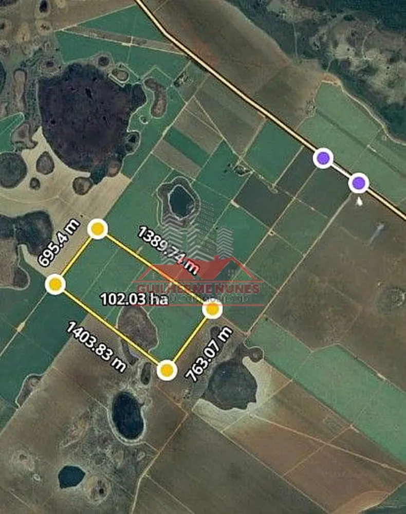 Fazenda, 203 hectares - Foto 3
