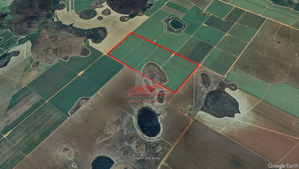 Fazenda, 203 hectares - Foto 1