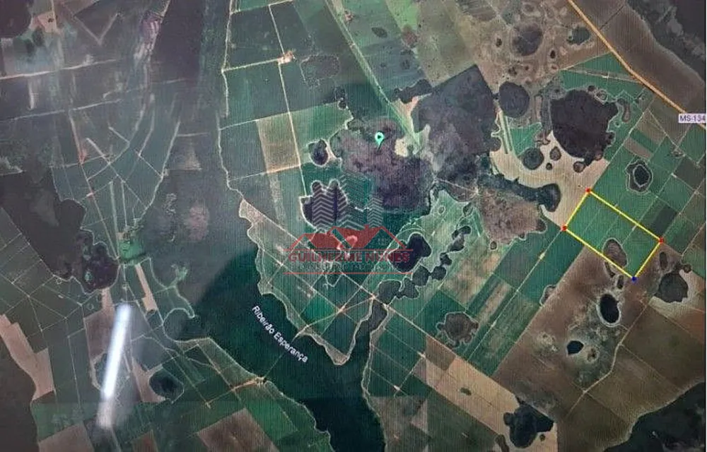 Fazenda, 203 hectares - Foto 4