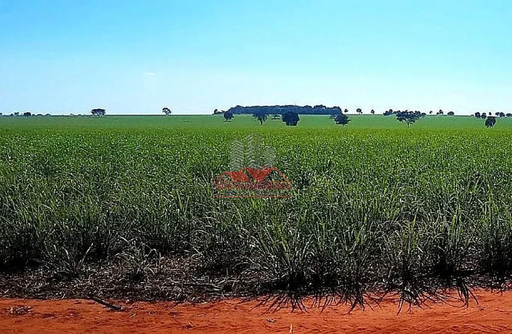 Fazenda, 678 hectares - Foto 2