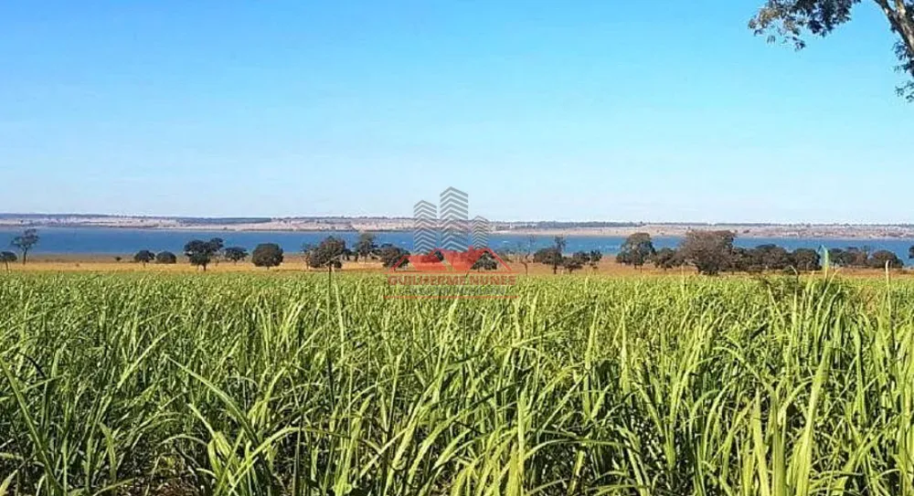 Fazenda, 678 hectares - Foto 3