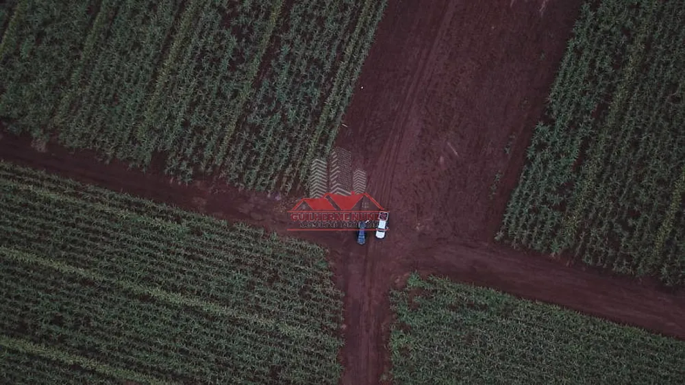 Fazenda, 678 hectares - Foto 6