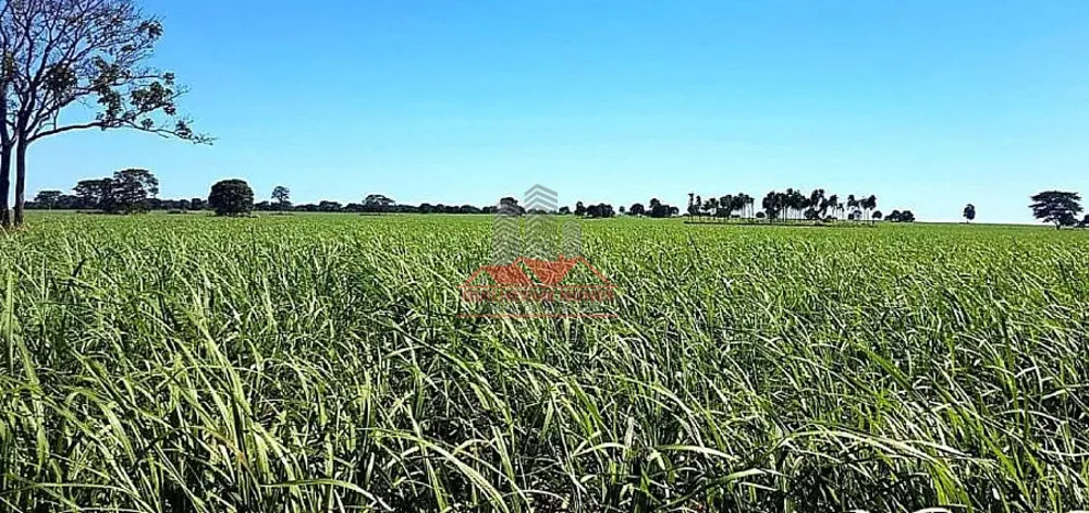 Fazenda, 678 hectares - Foto 4