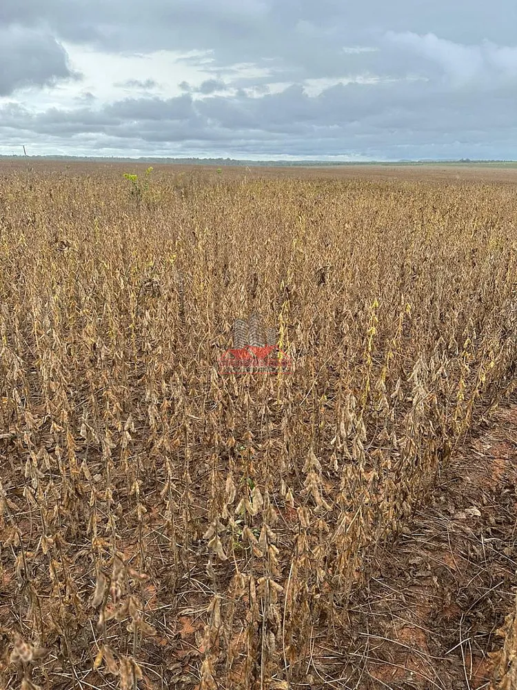 Fazenda, 1752 hectares - Foto 7