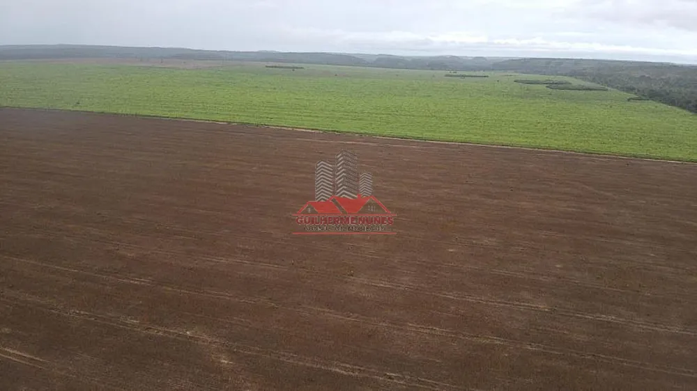 Fazenda, 1752 hectares - Foto 6