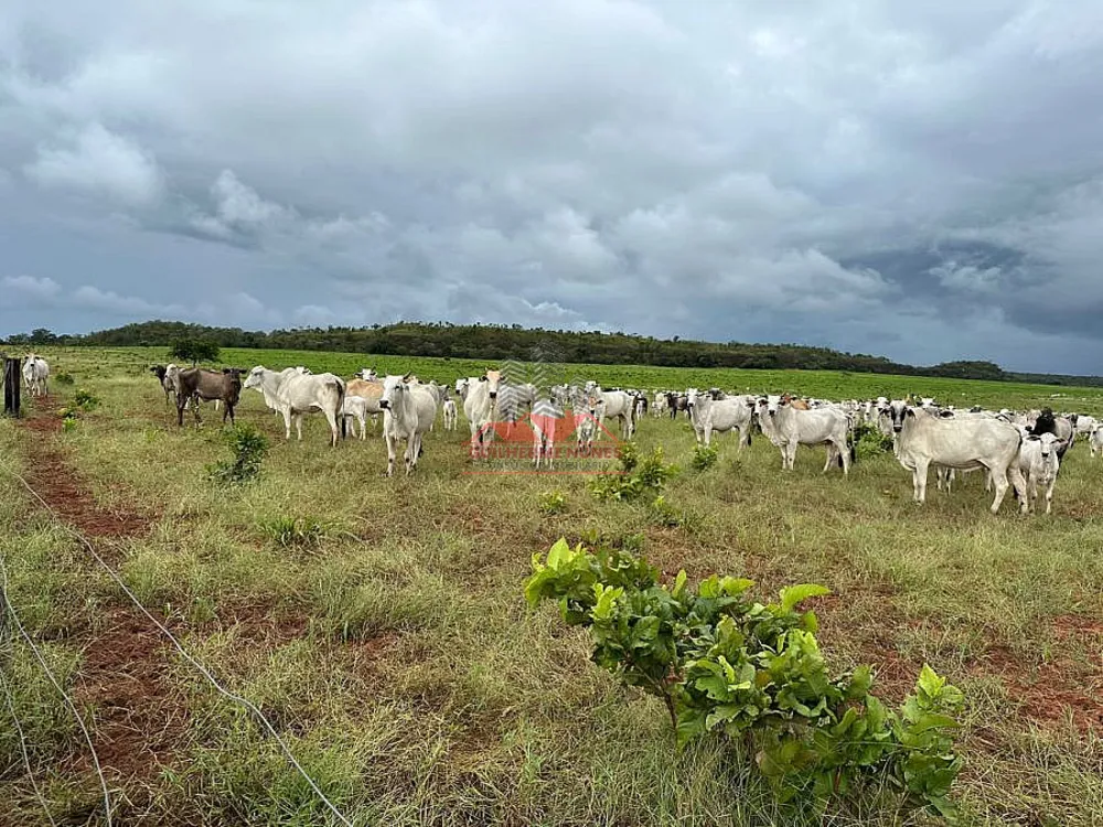 Fazenda, 1752 hectares - Foto 4