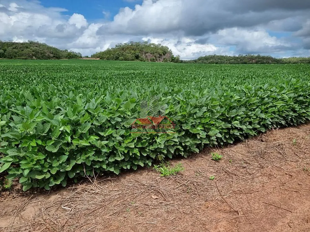 Fazenda, 1752 hectares - Foto 2