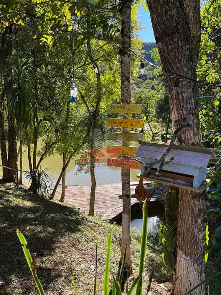 Chácara, 4 quartos, 6000 m² - Foto 5