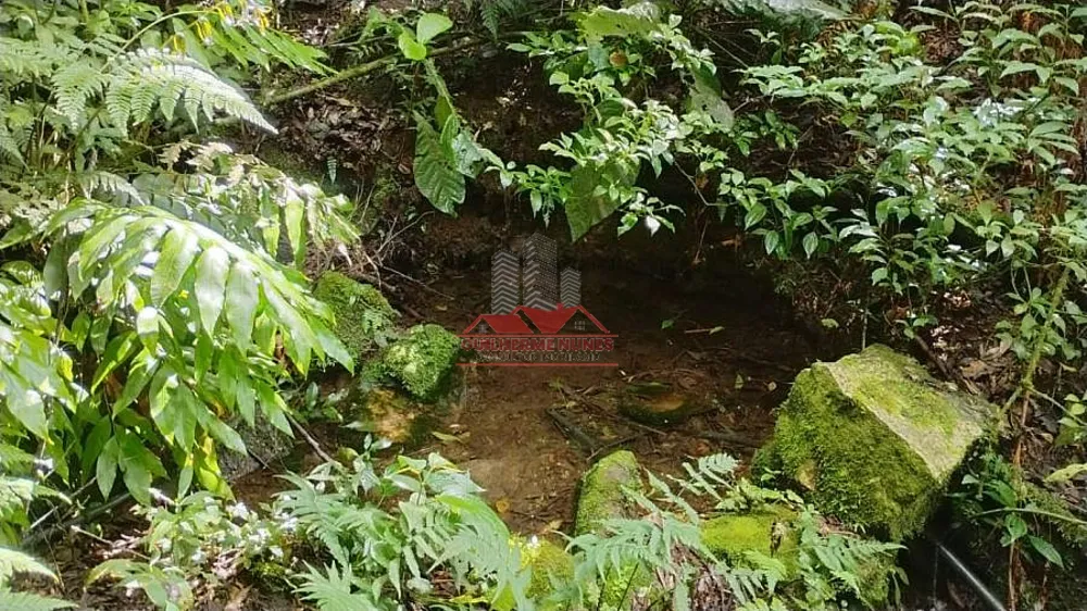 Chácara, 2 hectares - Foto 10