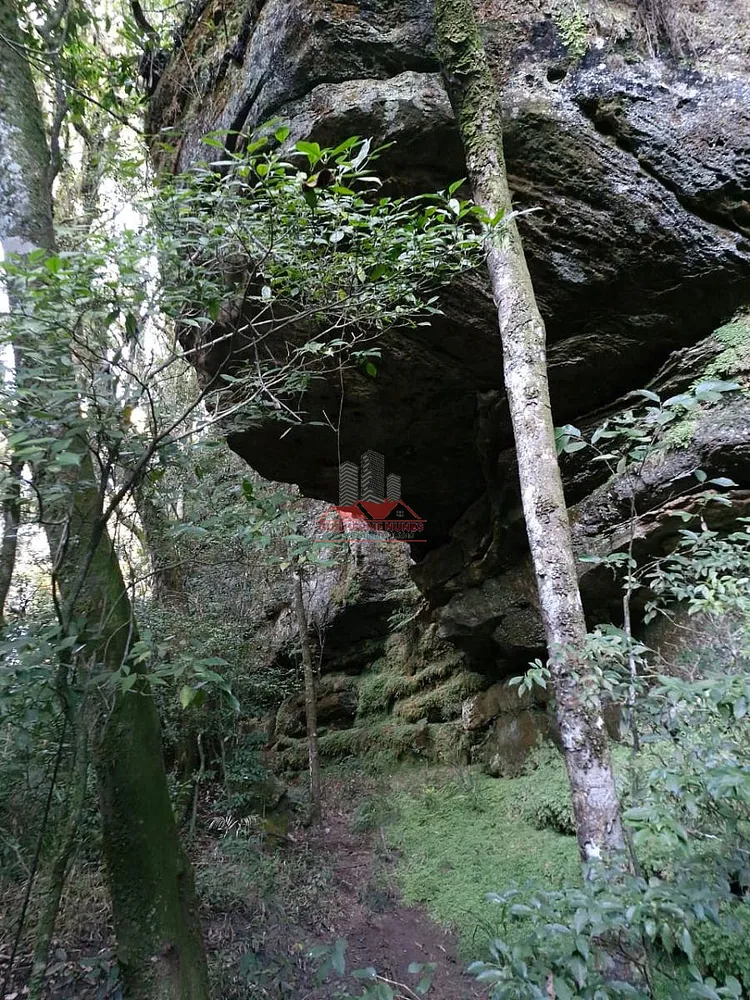 Chácara, 2 hectares - Foto 8