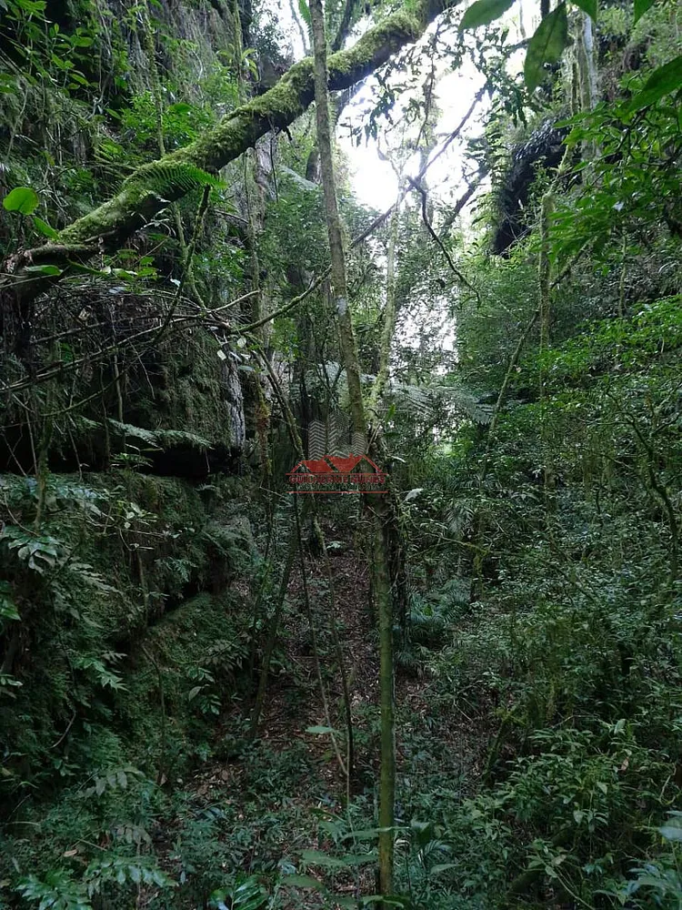 Chácara, 2 hectares - Foto 13
