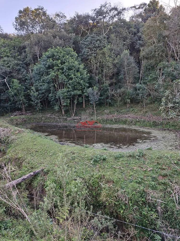 Chácara, 2 hectares - Foto 4