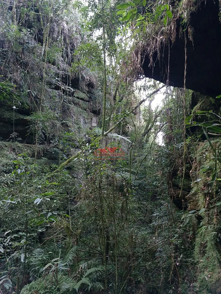 Chácara, 2 hectares - Foto 16