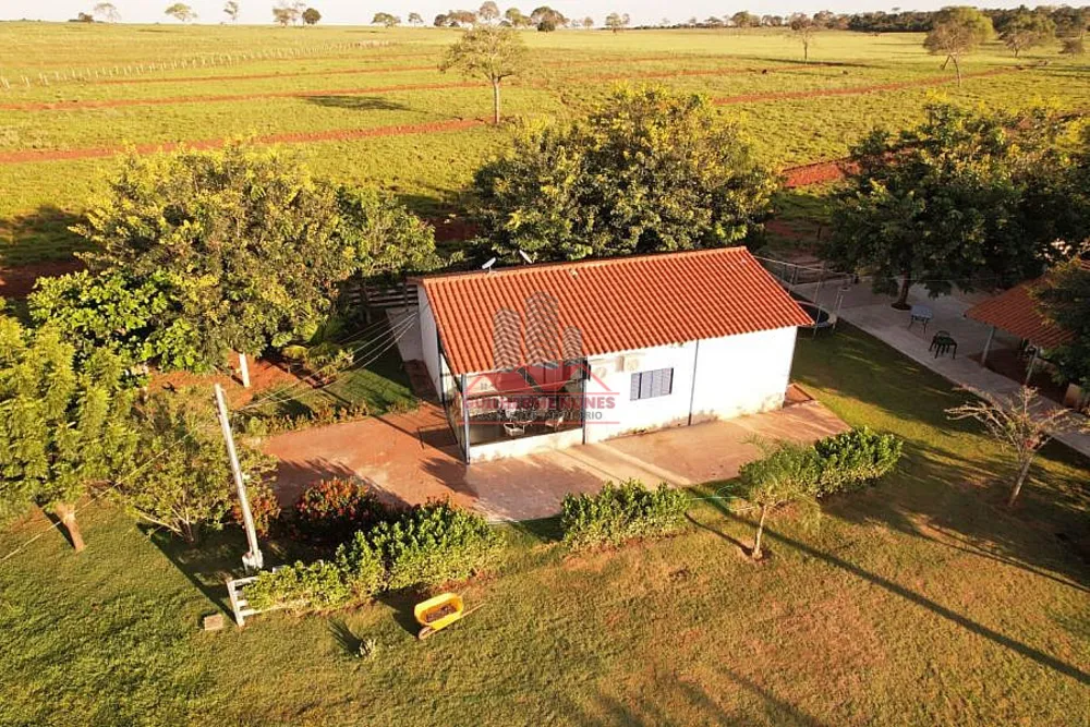Fazenda, 80 hectares - Foto 12