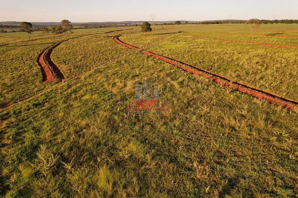 Fazenda, 80 hectares - Foto 6