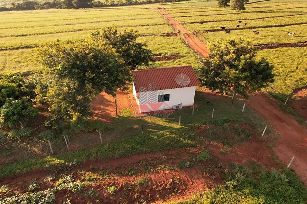 Fazenda, 80 hectares - Foto 9
