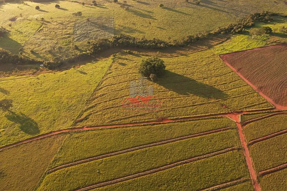 Fazenda, 80 hectares - Foto 8