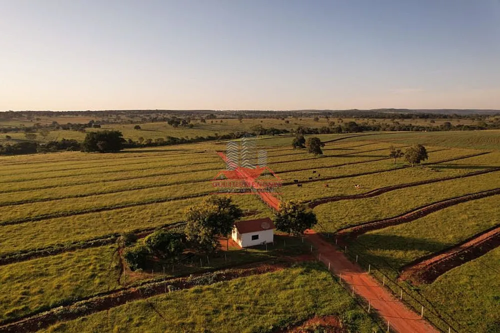 Fazenda, 80 hectares - Foto 2