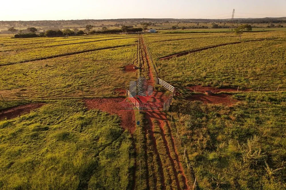 Fazenda, 80 hectares - Foto 7