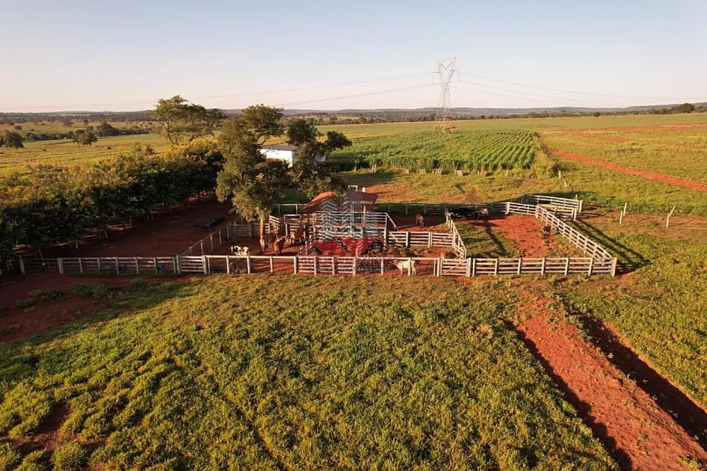 Fazenda, 80 hectares - Foto 4