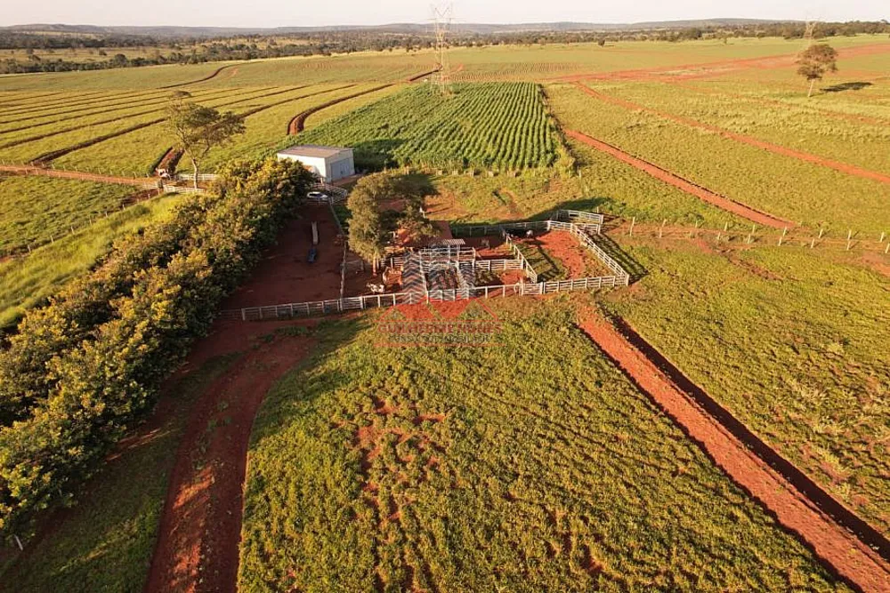 Fazenda, 80 hectares - Foto 3