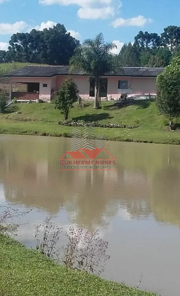 Chácara, 2 quartos, 2 hectares - Foto 3