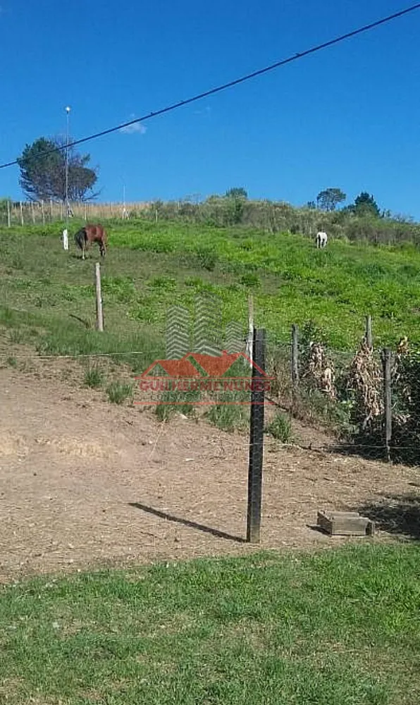Chácara, 2 quartos, 2 hectares - Foto 6