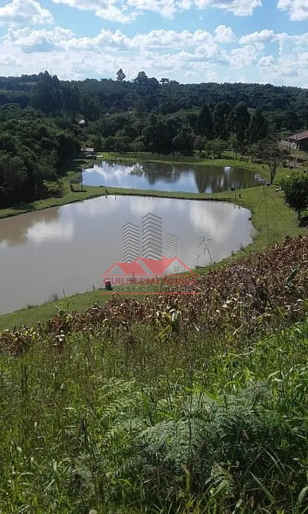 Chácara, 2 quartos, 2 hectares - Foto 1