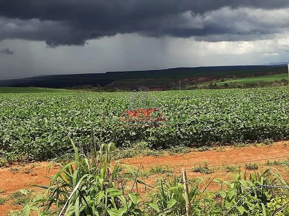 Fazenda, 1100 hectares - Foto 6