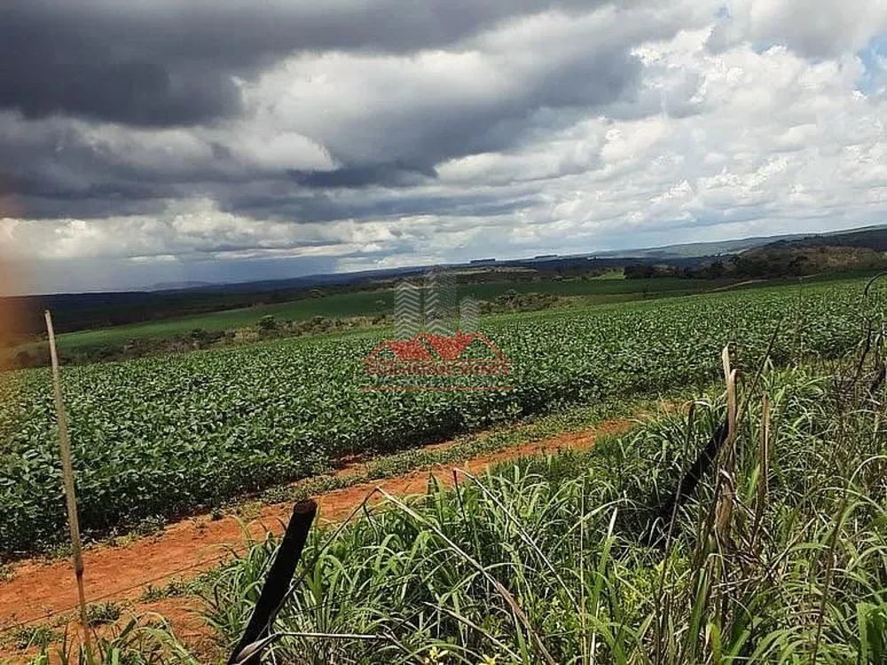 Fazenda, 1100 hectares - Foto 4