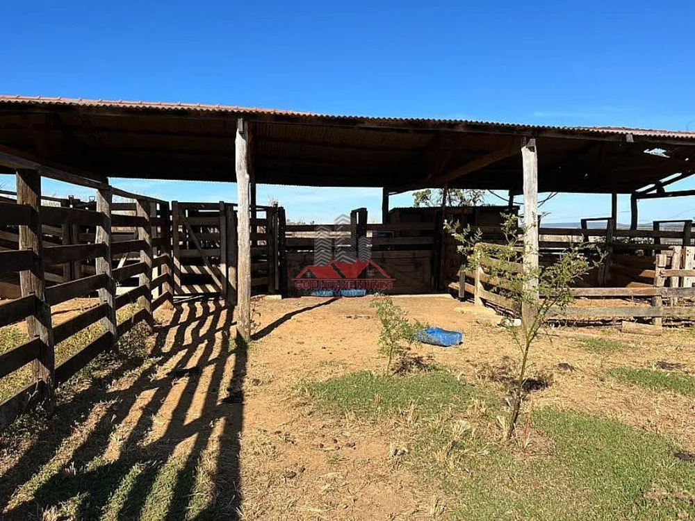 Fazenda, 1100 hectares - Foto 8