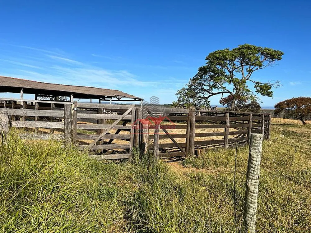 Fazenda, 1100 hectares - Foto 10