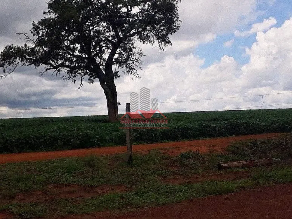 Fazenda, 1100 hectares - Foto 1