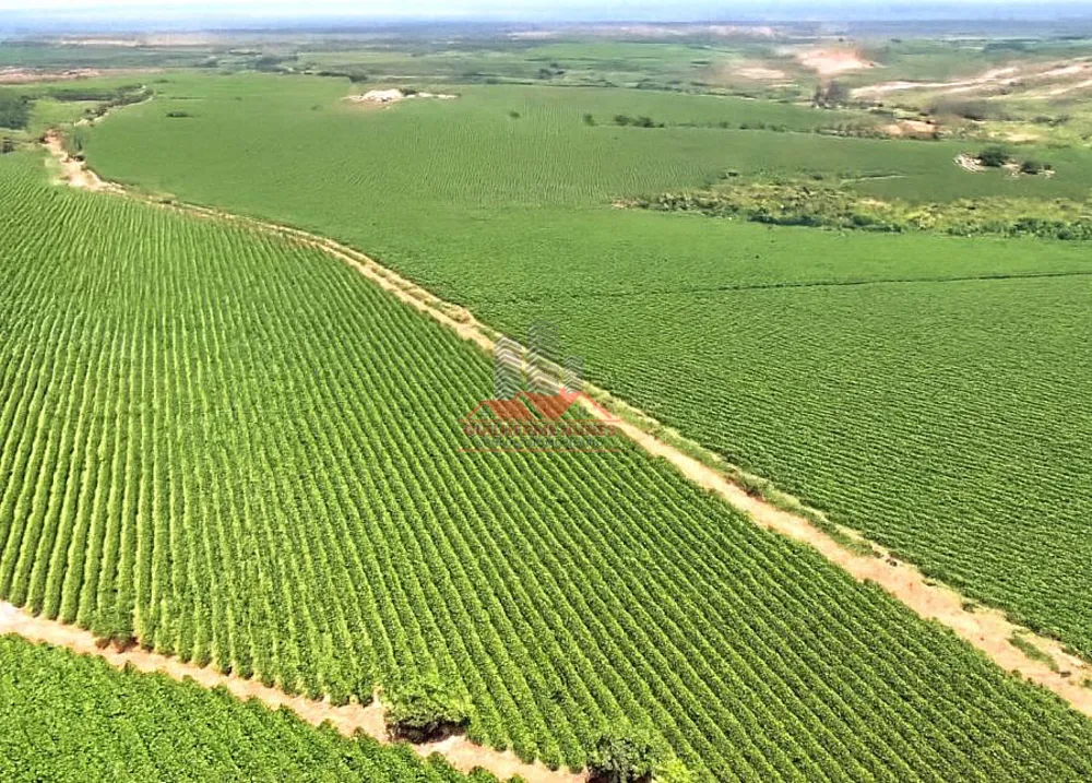 Fazenda, 234 hectares - Foto 8