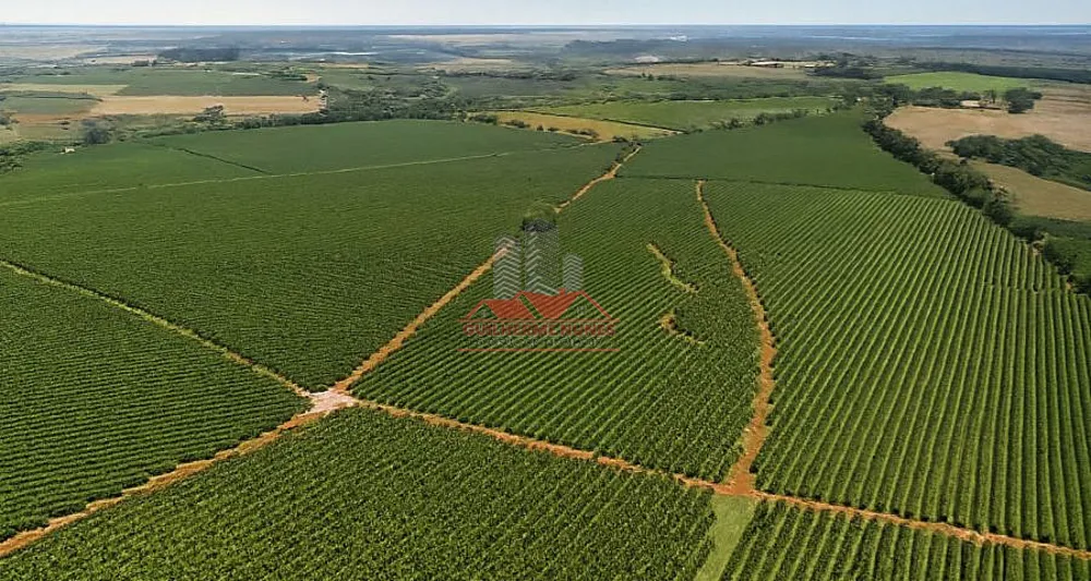 Fazenda, 234 hectares - Foto 2