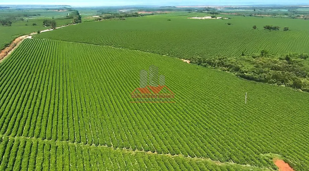 Fazenda, 234 hectares - Foto 6