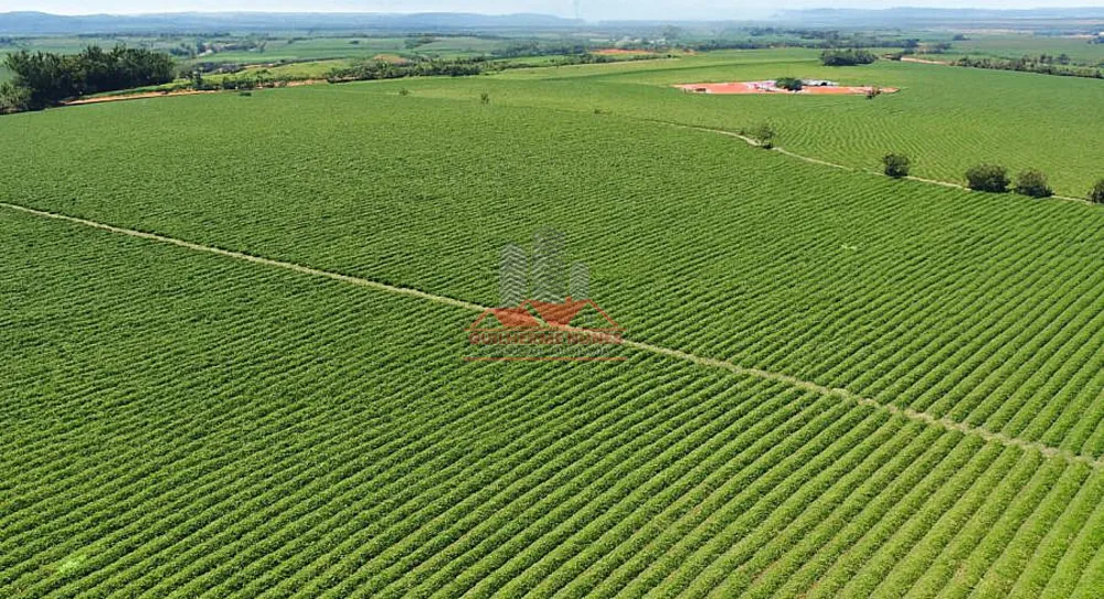 Fazenda, 234 hectares - Foto 7