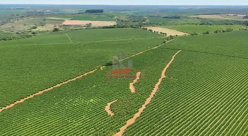 Fazenda, 234 hectares - Foto 9