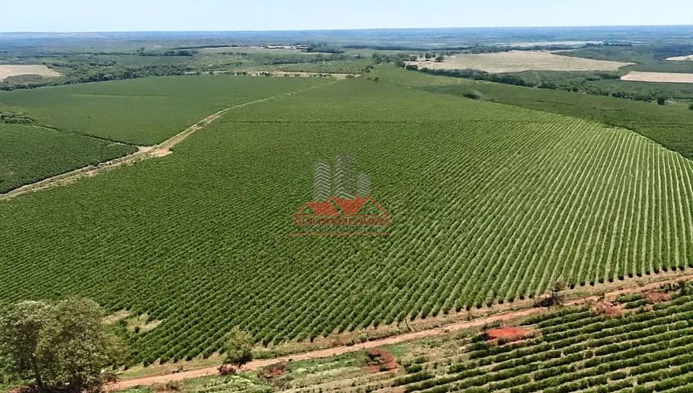 Fazenda, 234 hectares - Foto 12
