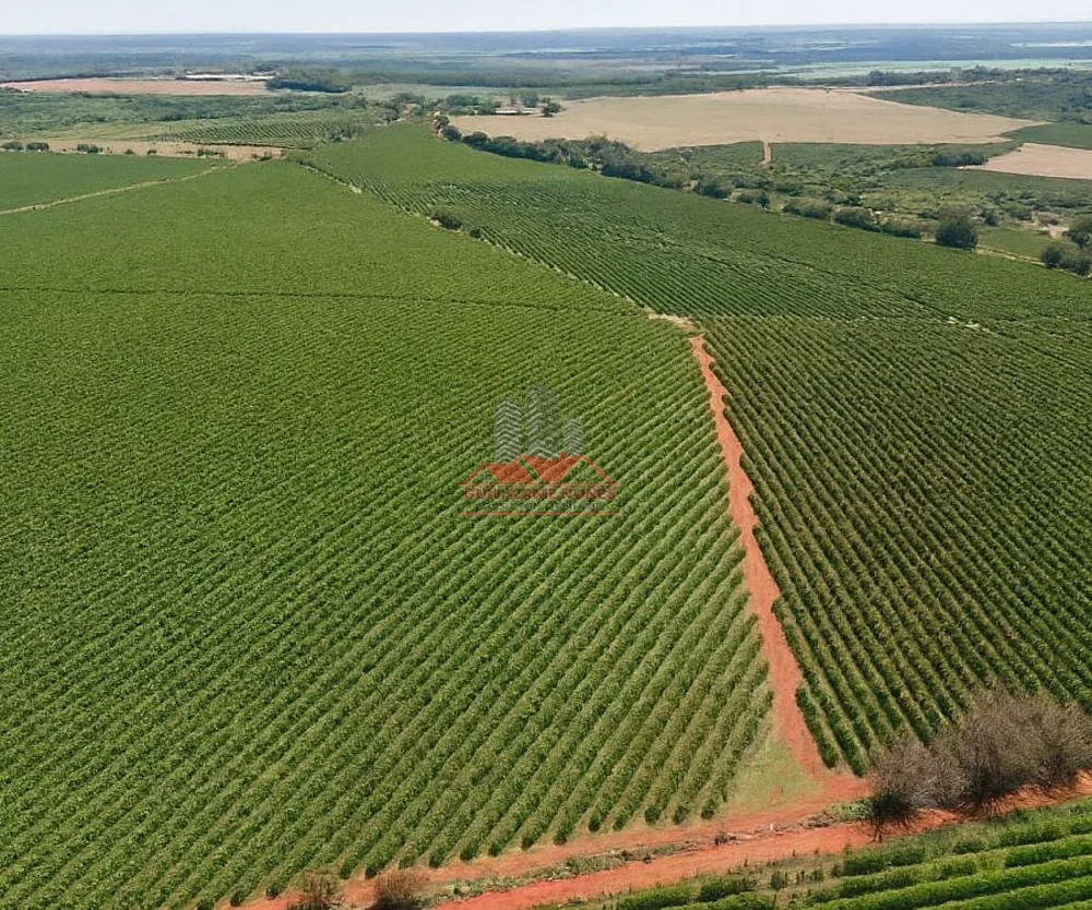 Fazenda, 234 hectares - Foto 10
