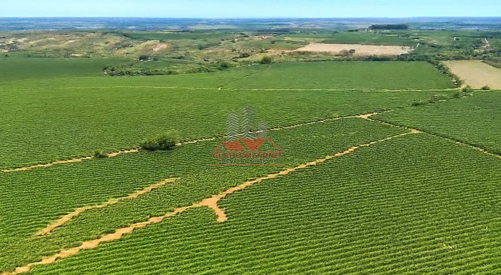 Fazenda, 234 hectares - Foto 4