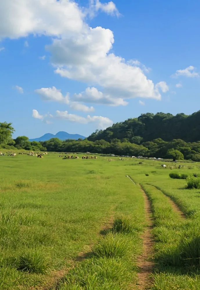 Fazenda, 306 hectares - Foto 1