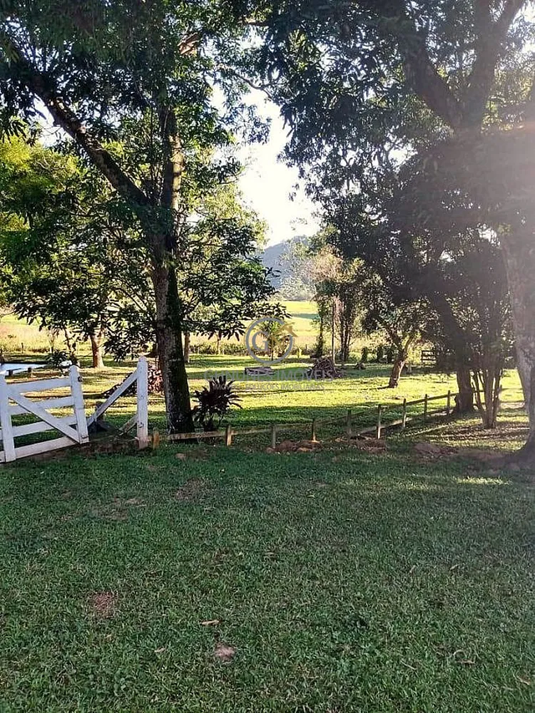Fazenda, 306 hectares - Foto 23