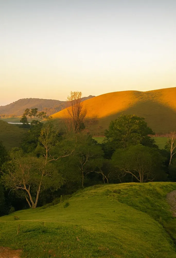 Fazenda, 306 hectares - Foto 7